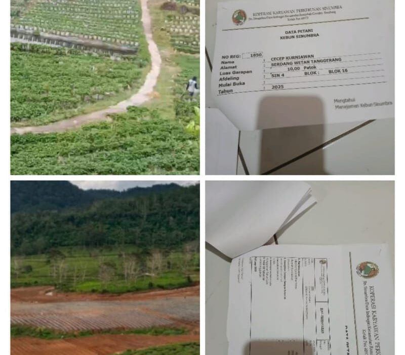 Diduga Abaikan Keterbukaan Informasi, Manajemen PTPN I Regional 2 Rancabali Disorot Terkait Alih Fungsi Lahan Perkebunan Teh